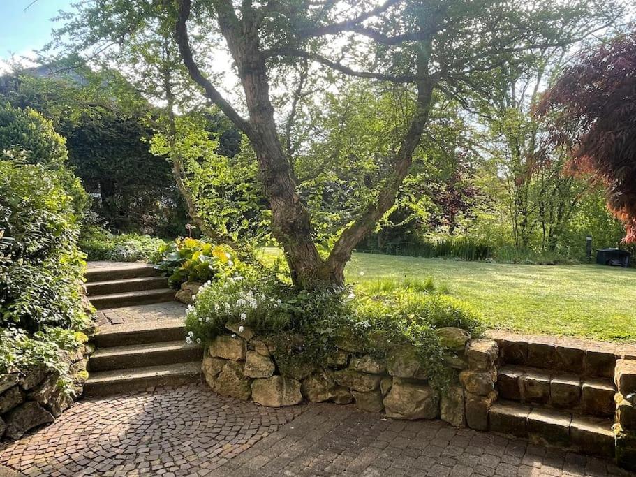 Ferienwohnung Zum Zauberwald Marsberg Exterior foto